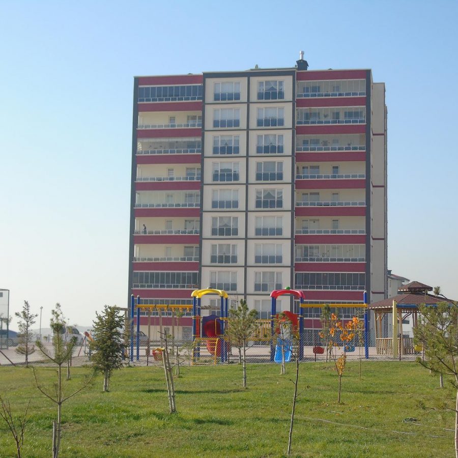 DSC02314_n
